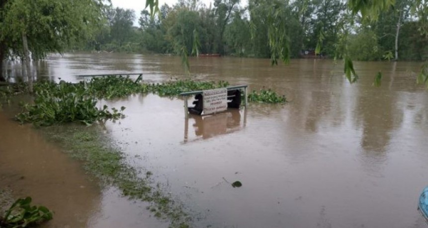 La Federaci&oacute;n Agraria de Entre R&iacute;os solicit&oacute; medidas para evacuar el ganado afectado por las inundaciones