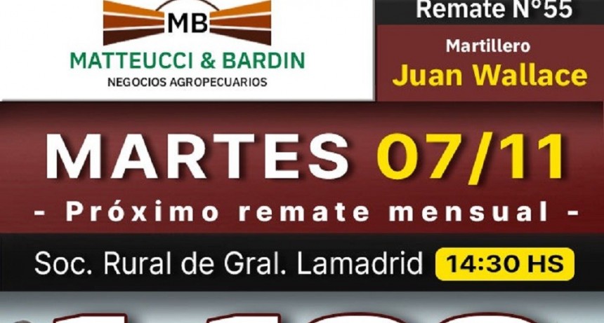 Este martes se realiza el remate de la firma Matteucci y Bard&iacute;n
