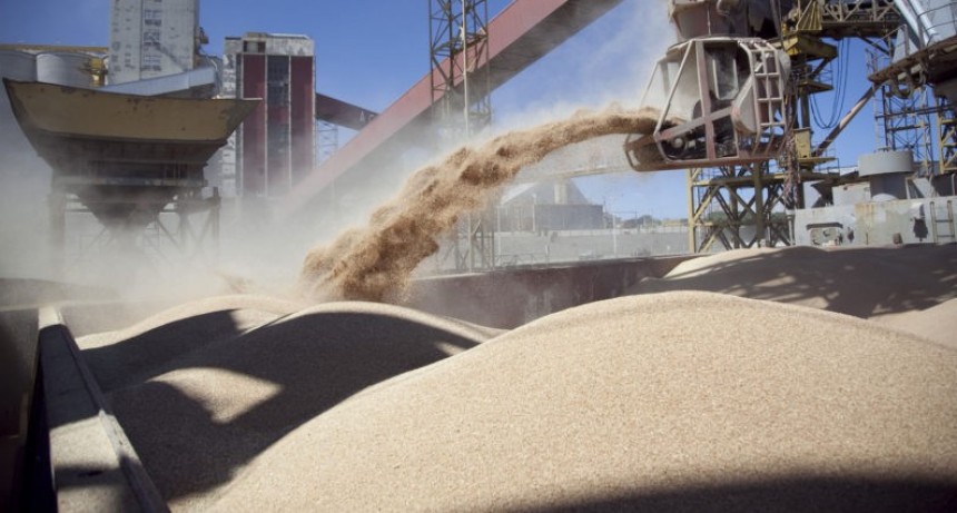 Las lluvias traen alivio y otro panorama para el ma&iacute;z y la soja: podr&iacute;an aportar exportaciones por 29.000 millones de d&oacute;lares