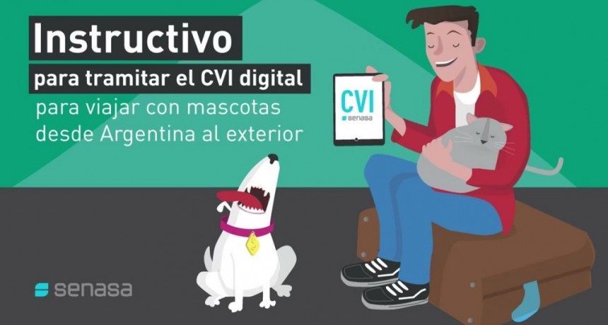 Mascotas: Nuevo sistema digital para tramitar y viajar desde Argentina al exterior