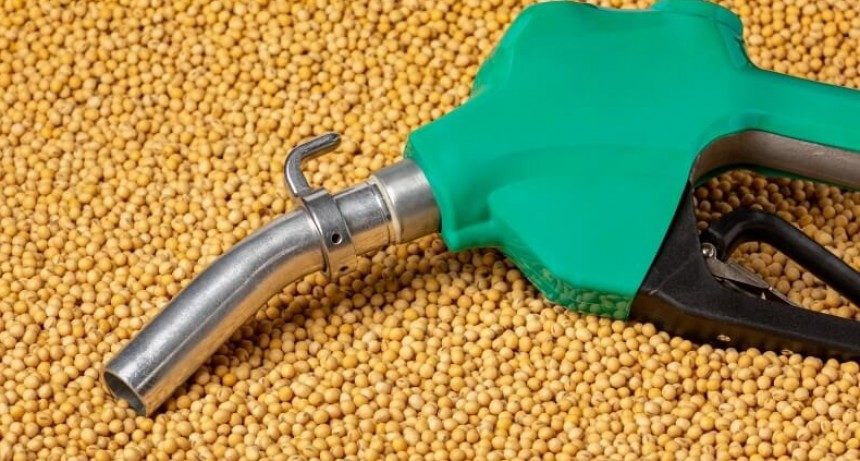 Tras la crisis de los combustibles, el Gobierno otorg&oacute; fuertes aumentos al bioetanol y al biodi&eacute;sel