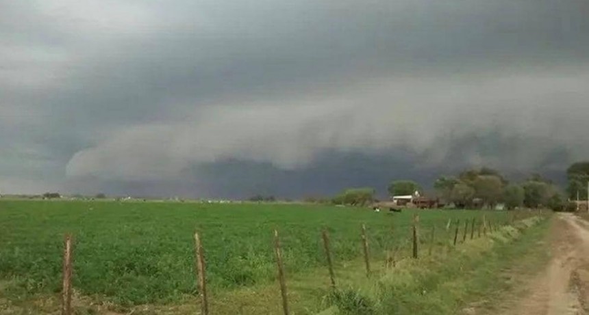 Nuevas lluvias en la regi&oacute;n n&uacute;cleo mejoran las perspectivas agr&iacute;colas