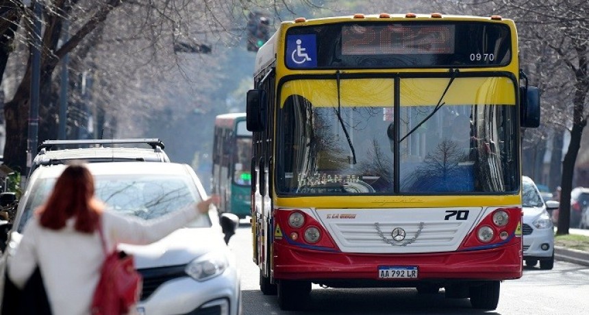 Transporte gratuito en todo el pa&iacute;s el pr&oacute;ximo domingo de elecciones