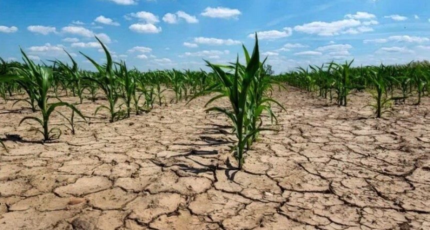 ARBA otorg&oacute; exenciones impositivas para productores afectados por la sequ&iacute;a
