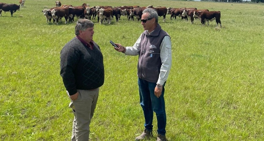 La prueba pastoril de la Zonal  Bonaerense Sudeste Hereford se realiza en Caba&ntilde;a La Camila
