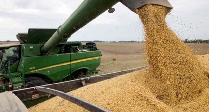 Efecto Milei: el nuevo tipo de cambio diferencial para la exportaci&oacute;n dio impulso al precio de la soja, trigo y ma&iacute;z