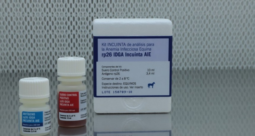En tiempo r&eacute;cord: duplican la producci&oacute;n anual del kit de anemia infecciosa equina