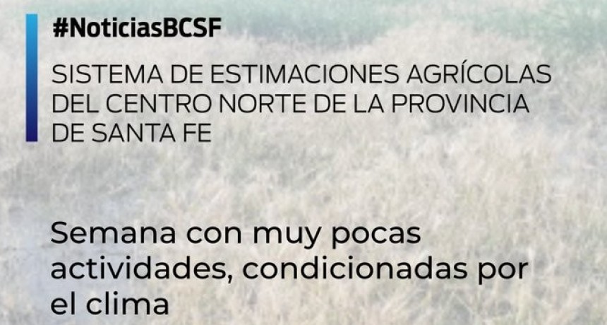 Rendimientos variables: avanz&oacute; en Santa Fe la cosecha del trigo y la siembra de la soja