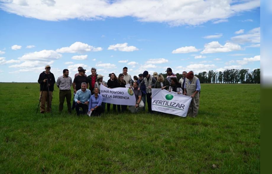 Realizan ensayos para mejorar la calidad de la carne