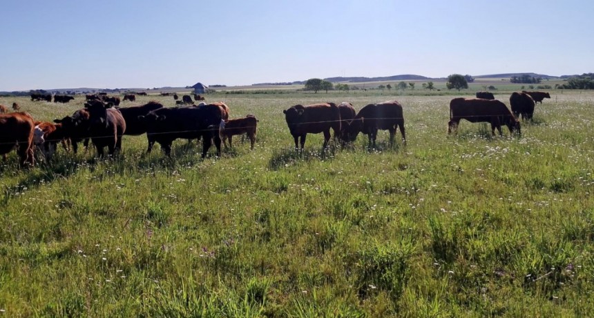 El Municipio impulsa distintas actividades en el marco del Mes de Agroecolog&iacute;a