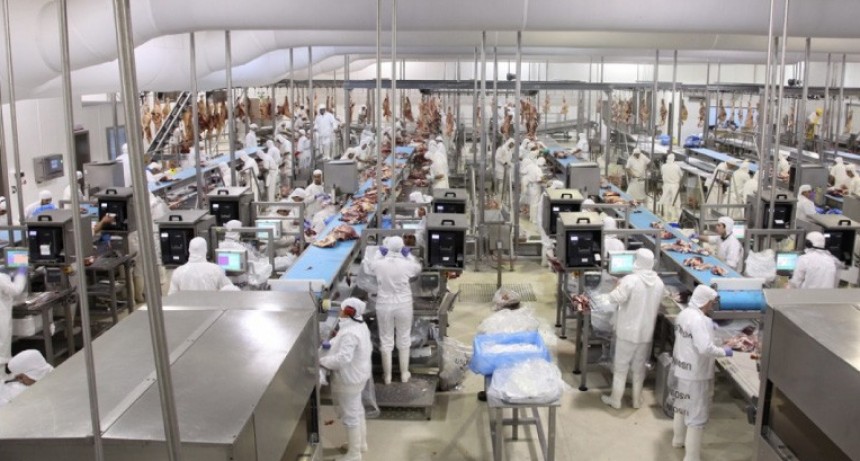 Carne: los precios de la exportaci&oacute;n comenzaron a mejorar