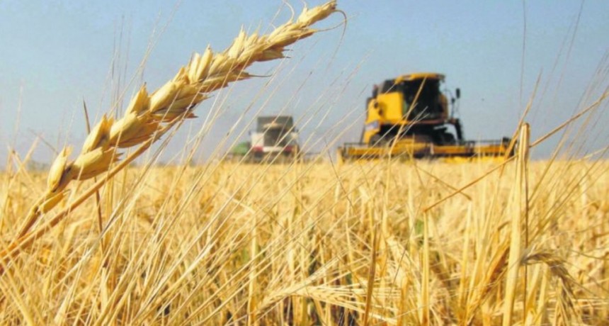 Los precios de los commodities bajaron en octubre y prev&eacute;n menor demanda