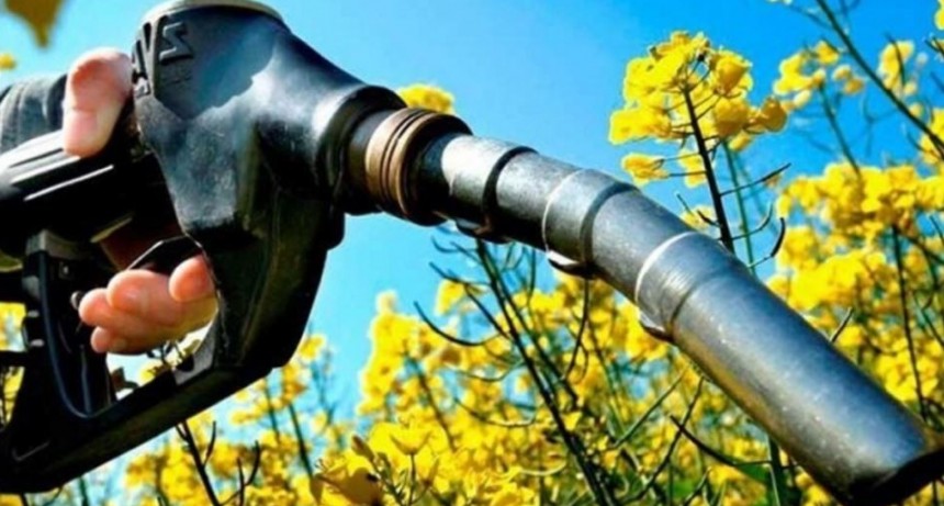 Diputados de LLA presentaron un proyecto de ley de biocombustibles