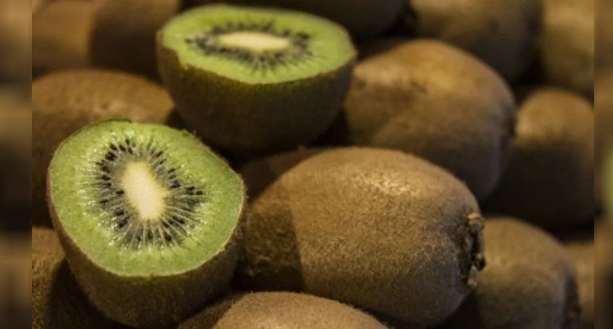 Revelan informaci&oacute;n clave para potenciar la fruticultura bonaerense