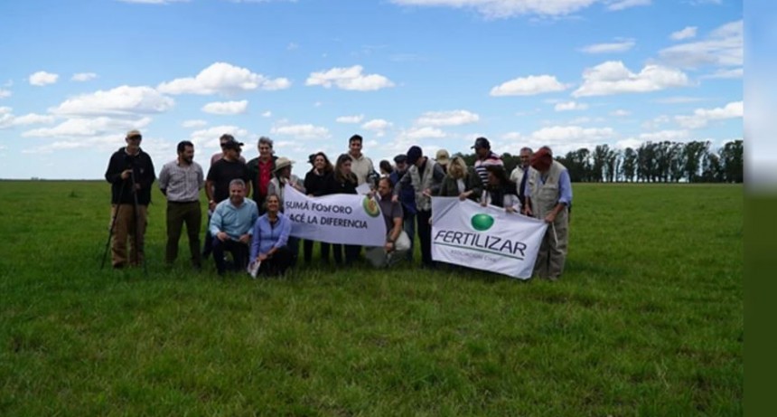 Realizan ensayos para mejorar la calidad de la carne