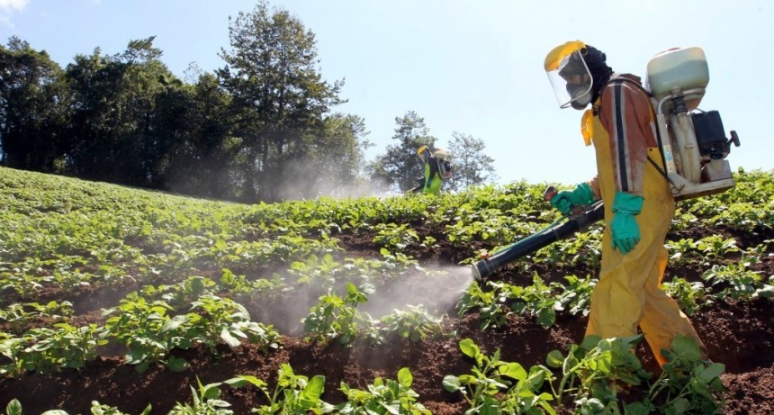Vecinos de Colonia San Miguel denuncian utilizaci&oacute;n de agroqu&iacute;micos en campos cercanos a la poblaci&oacute;n