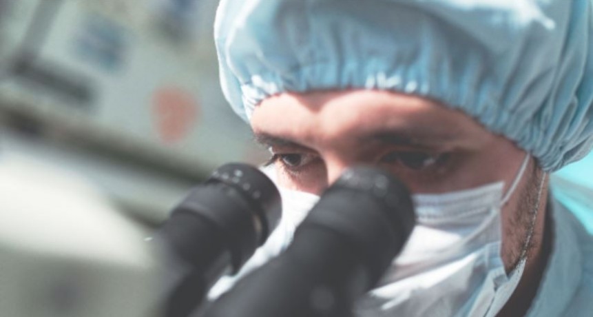 Argentina desarrolla vacuna contra el herpesvirus bovino: un avance clave para la ganader&iacute;a internacional