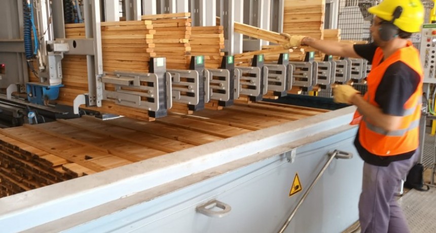 Las exportaciones de madera aumentaron un 18,9% en lo que va del a&ntilde;o