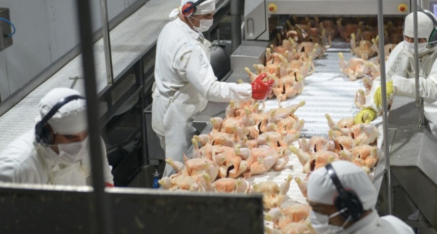 Las exportaciones av&iacute;colas crecieron un 20% en los primeros 10 meses del a&ntilde;o