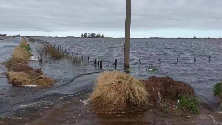 9 de Julio: más del 50% del partido anegado y “una inundación superior a la del 2001”