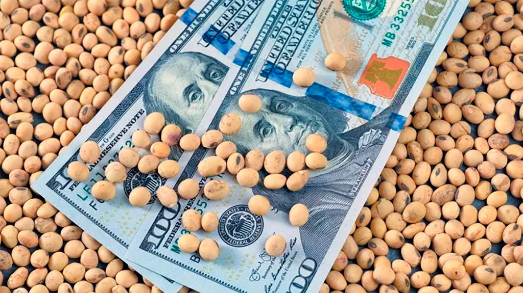 Proyectan que el campo cierre 2025 con US$ 37.150 millones liquidados