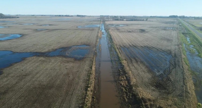 Inundaciones: Nación declaró la emergencia agropecuaria en cuatro distritos bonaerenses