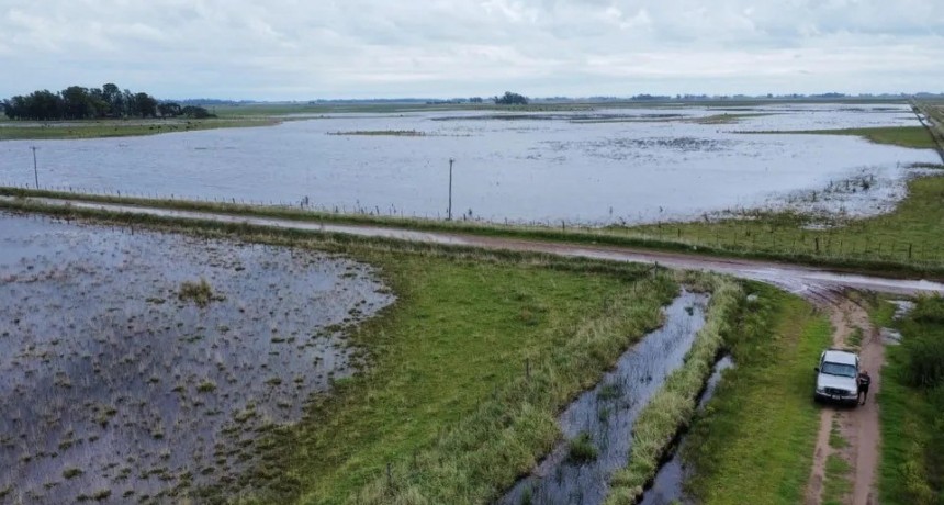 Casi 6 millones de hectáreas afectadas por las inundaciones con pérdidas por US$ 2.000 millones
