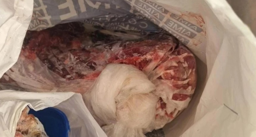 Un imputado tras allanamientos por abigeato