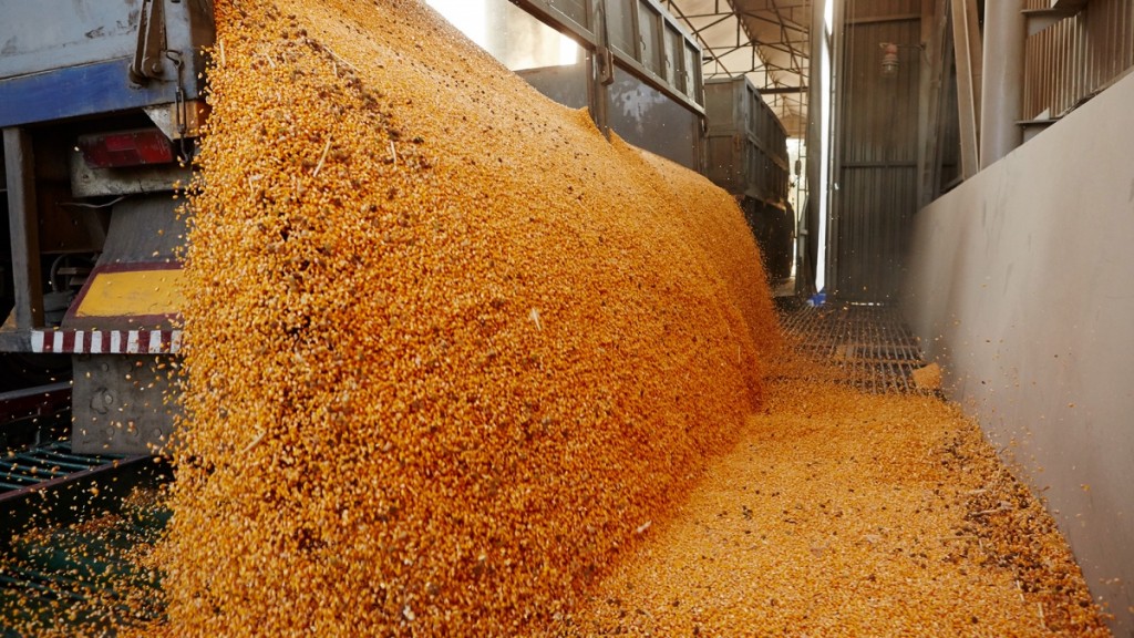 Ya se vendieron casi 300.000 toneladas de soja y acumulan más de 1,15 millones