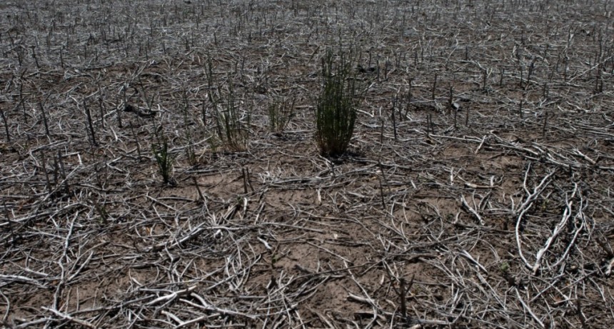 Por la sequ&iacute;a, estiman que el campo liquidar&aacute; entre 21% y 35% menos d&oacute;lares que en 2022