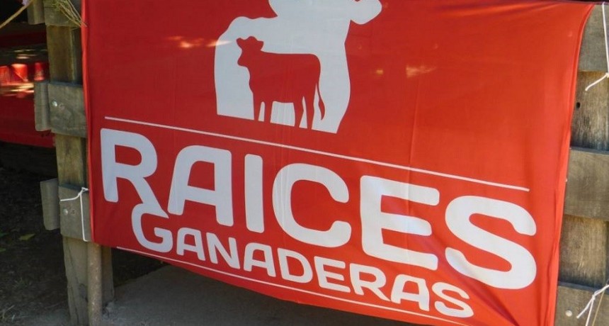 Ra&iacute;ces Ganaderas: ya se palpita este tradicional remate que se llevar&aacute; a cabo en Azul