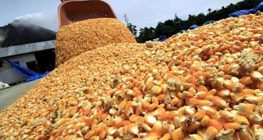 Por la sequ&iacute;a y la falta de oferta, la liquidaci&oacute;n de divisas del agro cay&oacute; 17% en noviembre