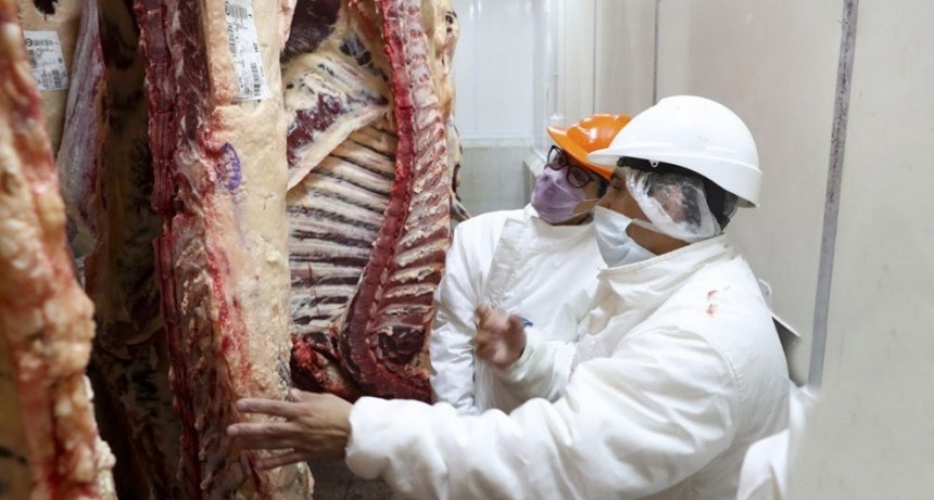 Se acord&oacute; con M&eacute;xico el certificado sanitario para exportar carnes bovinas desde Argentina