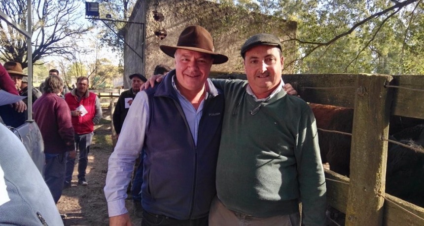 Remate Matteucci y Bardin S.R.L.: se realiz&oacute; este martes en la Sociedad Rural de General La Madrid