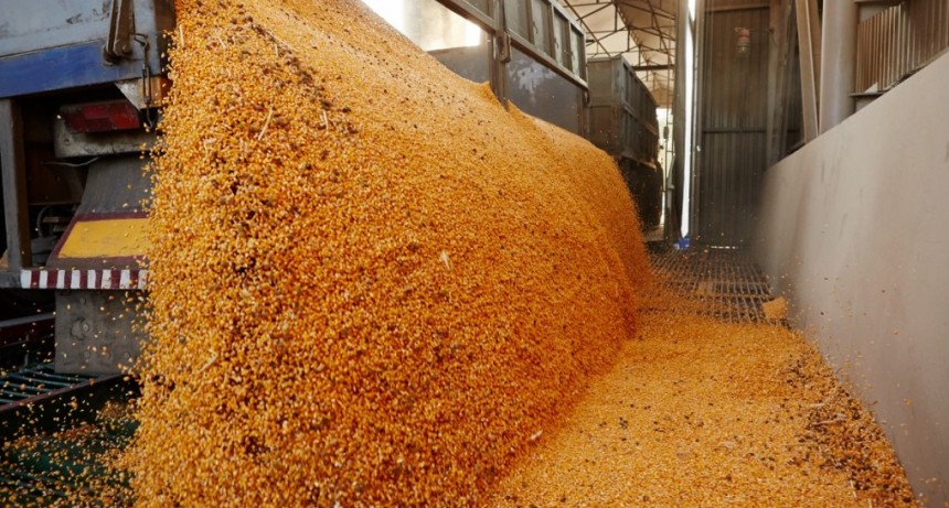 Agroexportadores liquidaron US$ 1.600 millones en las primeras semanas del nuevo d&oacute;lar soja