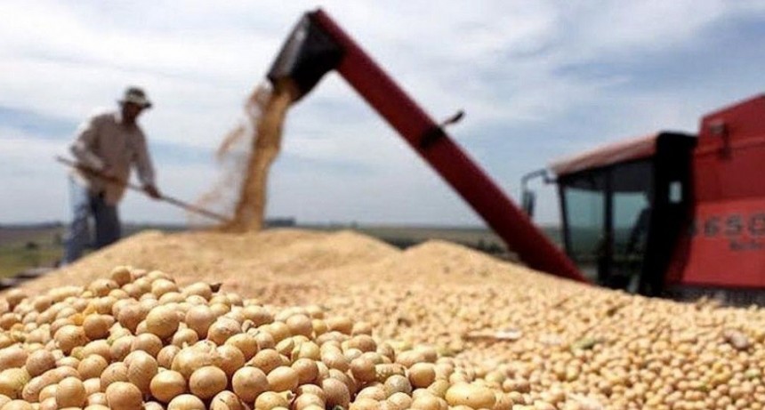 Actualizaci&oacute;n del Registro de Exportadores de Granos de ma&iacute;z, sorgo, soja y cebada a China