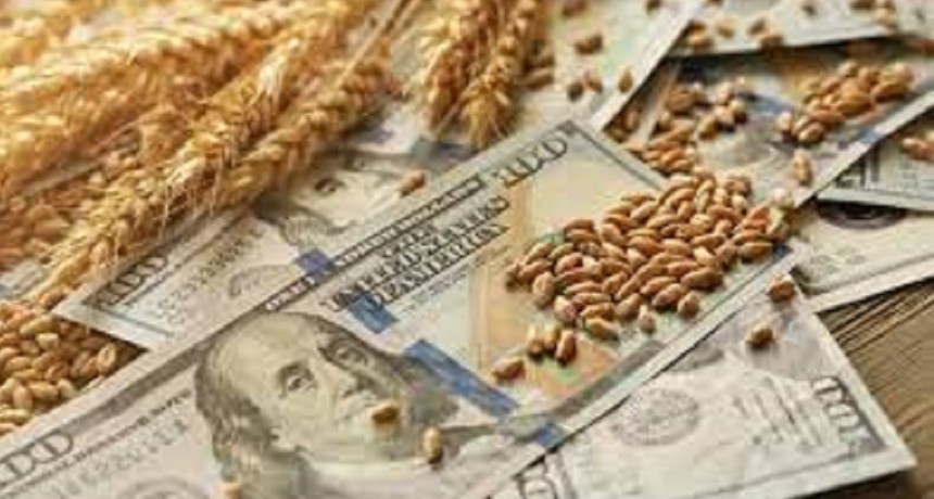 D&oacute;lar soja 2: las liquidaciones del agro llegaron a USD 2.000 millones y se acercan a la meta de Econom&iacute;a