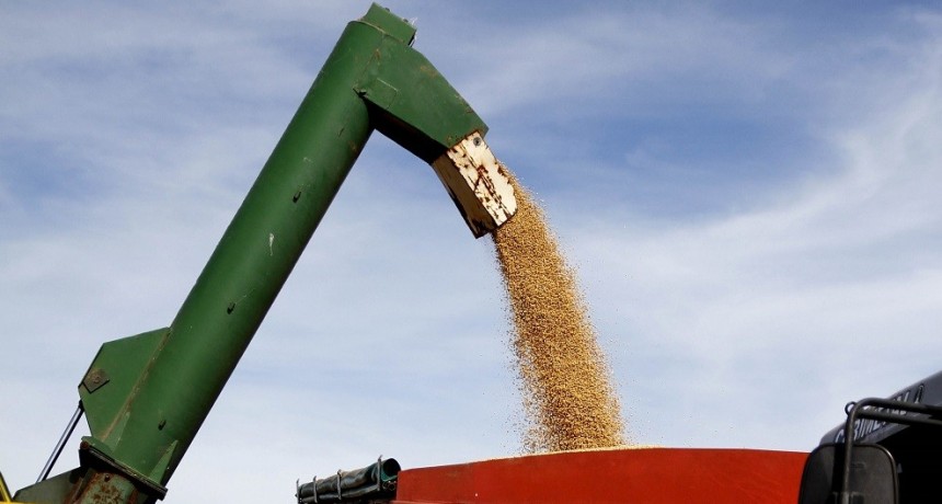 El Gobierno comenz&oacute; a efectivizar los pagos de las compensaciones a peque&ntilde;os productores de soja y ma&iacute;z