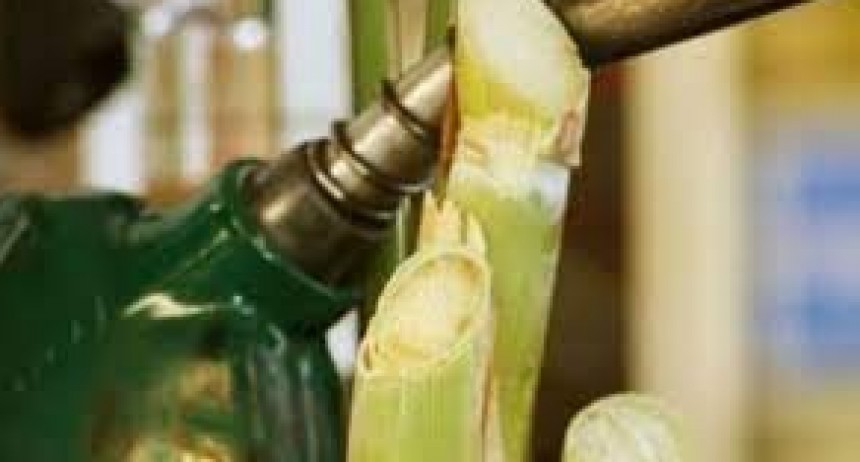 Por segunda vez en el mes, el gobierno fij&oacute; nuevos precios de los biocombustibles