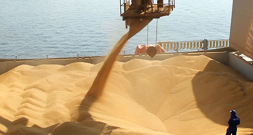La liquidaci&oacute;n de divisas de los agroexportadores se derrumb&oacute; 41% en noviembre