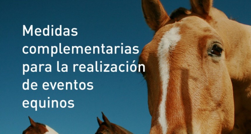 Encefalomielitis equinas: Medidas complementarias para la realizaci&oacute;n de eventos