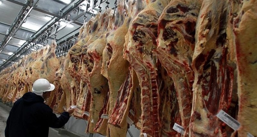 Carne: las exportaciones crecen en volumen, pero cae el ingreso de d&oacute;lares