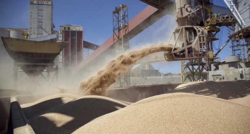 Cerealeras prometen a Milei anticipar US$5.000 millones por exportaciones