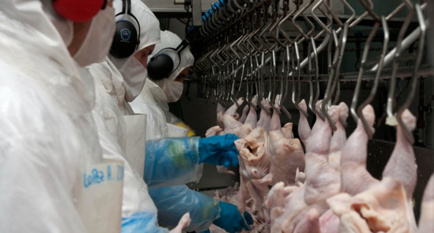Reapertura de Jap&oacute;n a la carne fresca aviar, ovoproductos y subproductos argentinos