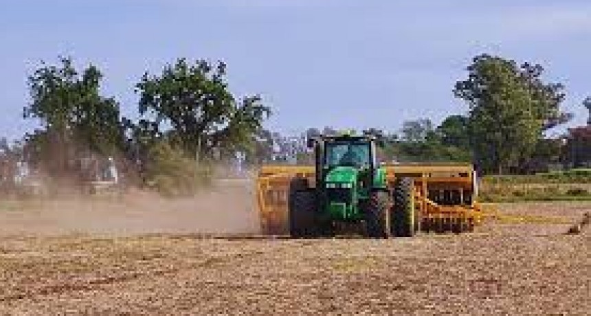 Advierten que a&uacute;n hay zonas productivas afectadas por sequ&iacute;a a pesar de la "mejora notable" de lluvias