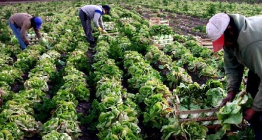 Del productor al consumidor, los precios de los agroalimentos se multiplicaron por 3,4 veces en noviembre