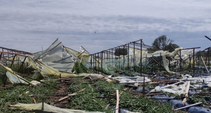 Productores hort&iacute;colas piden asistencia por los destrozos del temporal