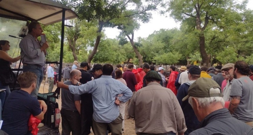 Se realiz&oacute; el remate de fin de a&ntilde;o de Wallace S.A. Consignatarios en Azul
