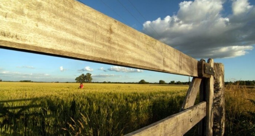 Inmobiliario Rural: habr&aacute; una cuota extra para los campos de mayor valuaci&oacute;n