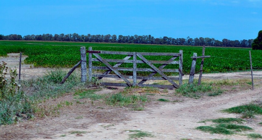 Impuestos de Kicillof: para CRA son &ldquo;un golpe de gracia&rdquo; a los productores agropecuarios